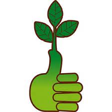 Green Thumb: 15 Strategies to Grow Your Business - Taiga Company